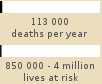 Bar chart: 113 000 deaths per year, 850 000 to 4 million lives at risk 